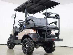 2026 Denago EV Nomad XL Lithium 4 Passenger Golf Cart for Sale(Champagne) (7)