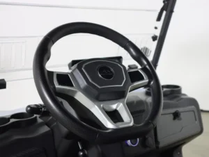 2026 Denago EV Rover XL Lithium 4 Passenger Golf Cart for Sale (Glacier) (12)