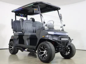 2026 Denago EV Rover XL Lithium 4 Passenger Golf Cart for Sale (Matte Black) (3)