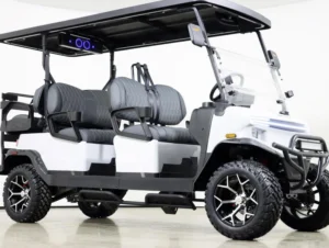 2026 Denago EV Rover XL6 Lithium 6 Passenger Golf Cart for Sale(Black) (3)