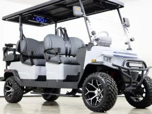 2026 Denago EV Rover XL6 Lithium 6 Passenger Golf Cart for Sale(Gray) (3)