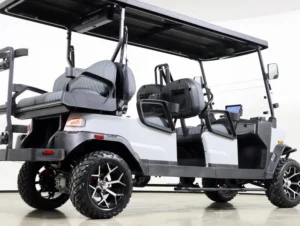 2026 Denago EV Rover XL6 Lithium 6 Passenger Golf Cart for Sale(Gray) (4)