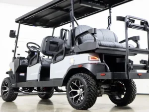 2026 Denago EV Rover XL6 Lithium 6 Passenger Golf Cart for Sale(Gray) (6)