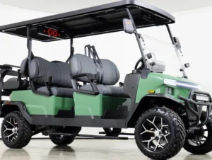 2026 Denago EV Rover XL6 Lithium 6 Passenger Golf Cart for Sale(Verdant Green) (3)