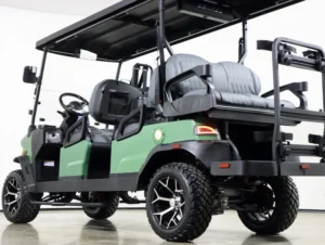 2026 Denago EV Rover XL6 Lithium 6 Passenger Golf Cart for Sale(Verdant Green) (6)