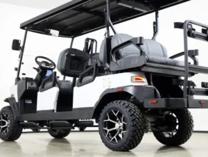 2026 Denago EV Rover XL6 Lithium 6 Passenger Golf Cart for Sale(White) (6)