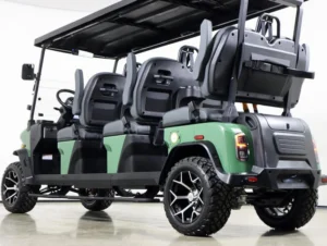 2026 Denago EV Rover XXL Lithium 6 Passenger Golf Cart for Sale(Verdant Green) (6)