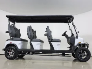 2026 Denago EV Rover XXL Lithium 6 Passenger Golf Cart for Sale(White) (3)