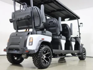 2026 Denago EV Rover XXL Lithium 6 Passenger Golf Cart for Sale(White) (4)