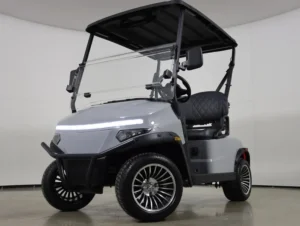 2026 Denago EV Scout 2 Lithium 2 Passenger Golf Cart for Sale(Gray) (1)
