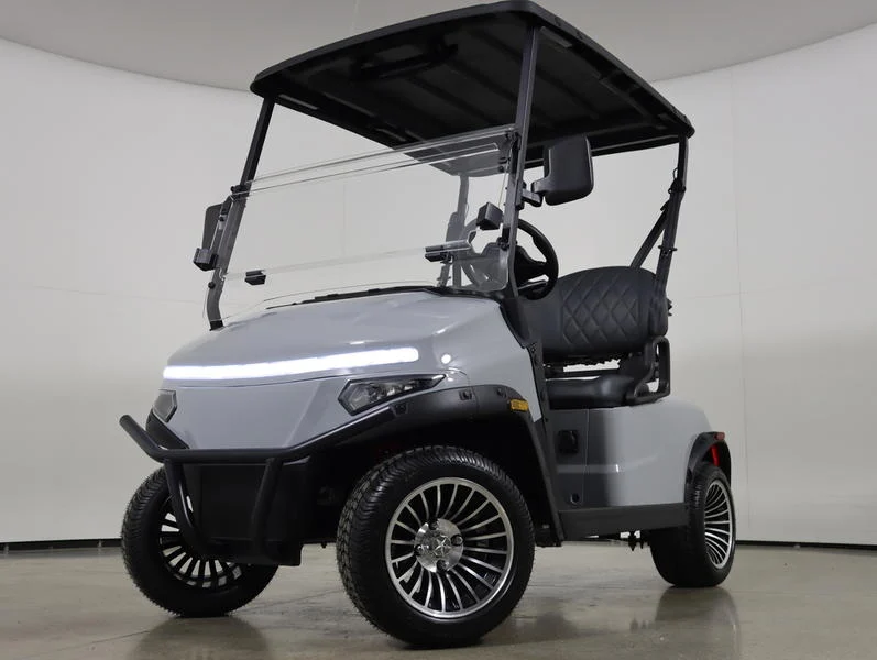 2026 Denago EV Scout 2 Lithium 2 Passenger Golf Cart for Sale(Gray) (1)