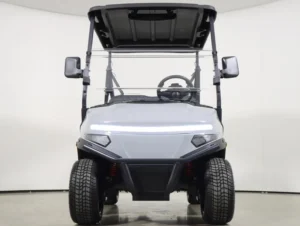 2026 Denago EV Scout 2 Lithium 2 Passenger Golf Cart for Sale(Gray) (2)