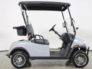 2026 Denago EV Scout 2 Lithium 2 Passenger Golf Cart for Sale(Gray) (4)