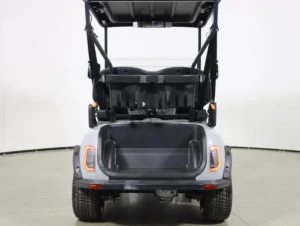 2026 Denago EV Scout 2 Lithium 2 Passenger Golf Cart for Sale(Gray) (7)