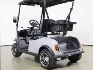 2026 Denago EV Scout 2 Lithium 2 Passenger Golf Cart for Sale(Gray) (8)
