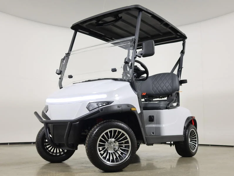 2026 Denago EV Scout 2 Lithium 2 Passenger Golf Cart for Sale(White) (1)