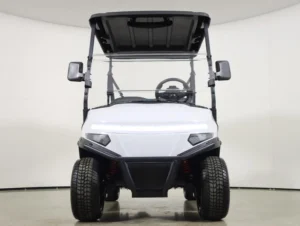 2026 Denago EV Scout 2 Lithium 2 Passenger Golf Cart for Sale(White) (2)