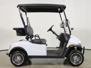 2026 Denago EV Scout 2 Lithium 2 Passenger Golf Cart for Sale(White) (4)