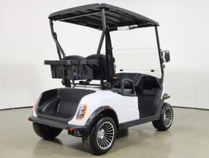 2026 Denago EV Scout 2 Lithium 2 Passenger Golf Cart for Sale(White) (5)