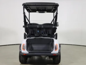2026 Denago EV Scout 2 Lithium 2 Passenger Golf Cart for Sale(White) (7)
