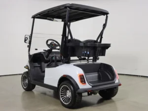 2026 Denago EV Scout 2 Lithium 2 Passenger Golf Cart for Sale(White) (8)