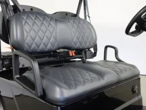 2026 Denago EV Scout 4 Lithium 4 Passenger Golf Cart for Sale( Black) (3)