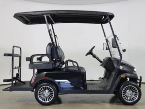 2026 Denago EV Scout 4 Lithium 4 Passenger Golf Cart for Sale( Black) (4)