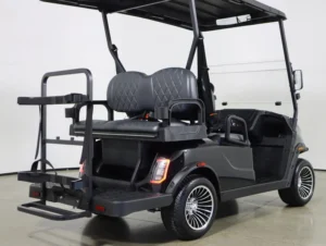 2026 Denago EV Scout 4 Lithium 4 Passenger Golf Cart for Sale( Black) (5)