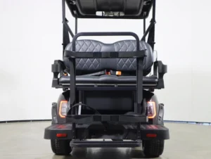 2026 Denago EV Scout 4 Lithium 4 Passenger Golf Cart for Sale( Black) (7)