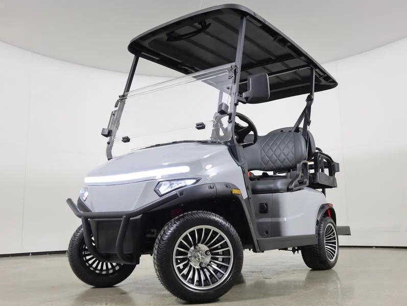 2026 Denago EV Scout 4 Lithium 4 Passenger Golf Cart for Sale(Gray) (1)