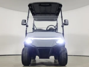 2026 Denago EV Scout 4 Lithium 4 Passenger Golf Cart for Sale(Gray) (2)