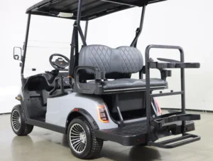 2026 Denago EV Scout 4 Lithium 4 Passenger Golf Cart for Sale(Gray) (8)