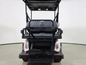 2026 Denago EV Scout 4 Lithium 4 Passenger Golf Cart for Sale(White) (7)