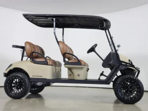 2026 E Z GO Dune Express 4 EFI Gas LIFTED Special Edition Golf Cart for Sale(Dune) (5)
