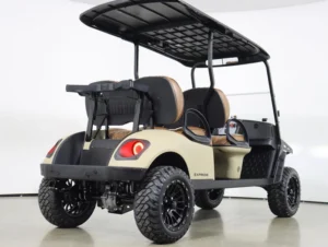 2026 E Z GO Dune Express 4 EFI Gas LIFTED Special Edition Golf Cart for Sale(Dune) (6)
