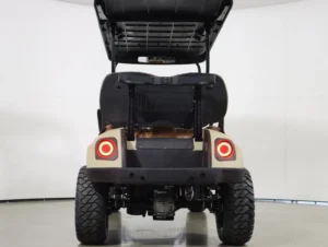 2026 E Z GO Dune Express 4 EFI Gas LIFTED Special Edition Golf Cart for Sale(Dune) (7)