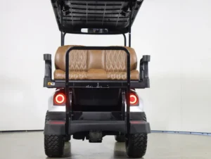 2026 E Z GO Express 4 EFI Gas LIFTED 4 Passenger Golf Cart for Sale(Platinum) (7)