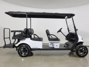 2026 E Z GO Express 6 Gas Touring S 6 Passenger Golf Cart for Sale(Bright White) (4)