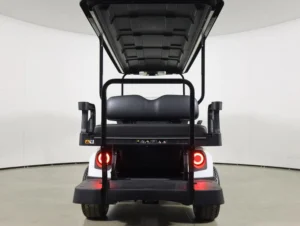 2026 E Z GO Express 6 Gas Touring S 6 Passenger Golf Cart for Sale(Bright White) (7)