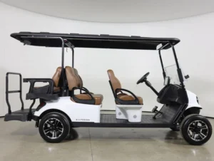 2026 E Z GO Express 6 Gas Touring STL 6 Passenger Golf Cart for Sale(Bright White) (5)