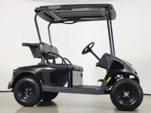 2026 E Z GO Valor 48V 2 Passenger Electric Golf Cart for Sale(Gloss Black) (6)