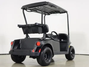 2026 E Z GO Valor 48V 2 Passenger Electric Golf Cart for Sale(Gloss Black) (7)