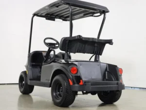 2026 E Z GO Valor 48V 2 Passenger Electric Golf Cart for Sale(Gloss Black) (9)