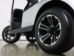 2026 E Z GO Valor 48V 4 Passenger Electric Golf Cart for Sale(Platinum) (11)