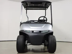 2026 E Z GO Valor 48V 4 Passenger Electric Golf Cart for Sale(Platinum) (2)