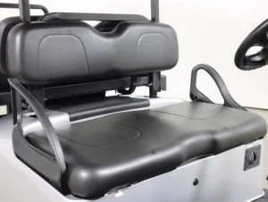 2026 E Z GO Valor 48V 4 Passenger Electric Golf Cart for Sale(Platinum) (4)