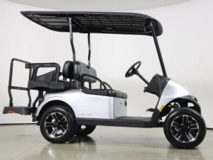 2026 E Z GO Valor 48V 4 Passenger Electric Golf Cart for Sale(Platinum) (6)