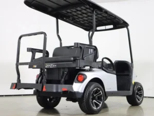 2026 E Z GO Valor 48V 4 Passenger Electric Golf Cart for Sale(Platinum) (7)