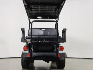 2026 E Z GO Valor 48V 4 Passenger Electric Golf Cart for Sale(Platinum) (8)
