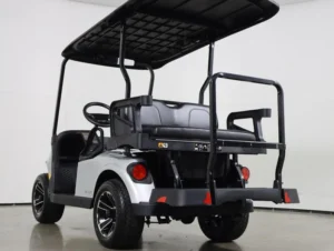 2026 E Z GO Valor 48V 4 Passenger Electric Golf Cart for Sale(Platinum) (9)